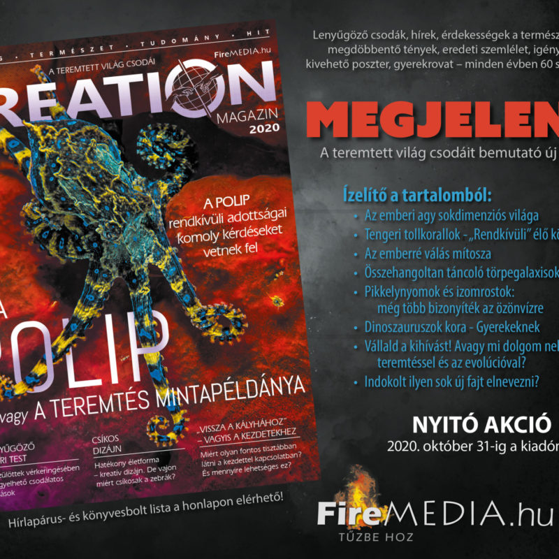 Creation Magazin Megjelent – plakát