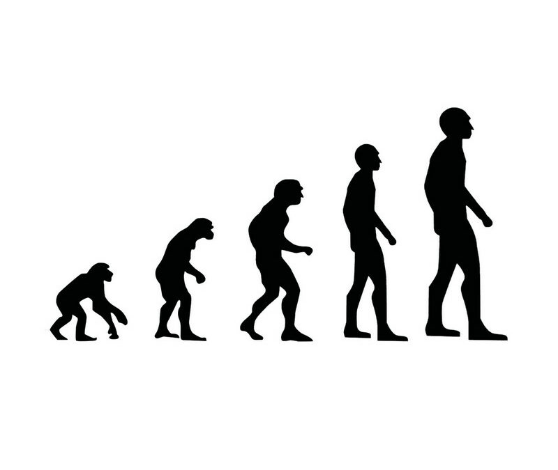 Teremtés vagy biológiai evolúció?