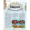 Creation Magazin 2023 - Image 4