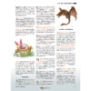 Creation Magazin 2023 - Image 6