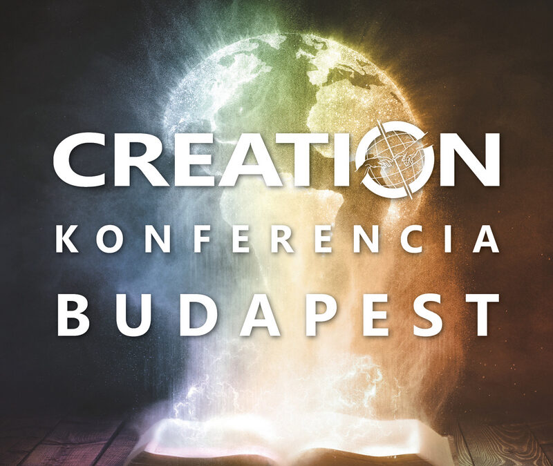 Creation Konferencia 2023