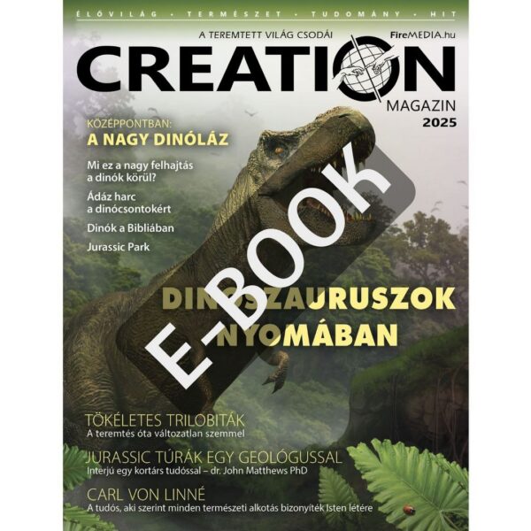 Creation Magazin 2025 E-book