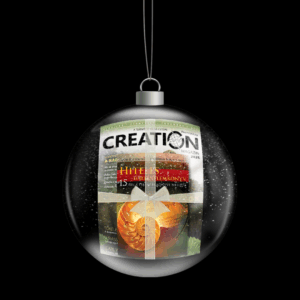 2025-ös Creation Magazin és Hiteles történelemkönyv Ajándékutalvány